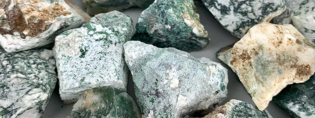 tree agate raw wholesale