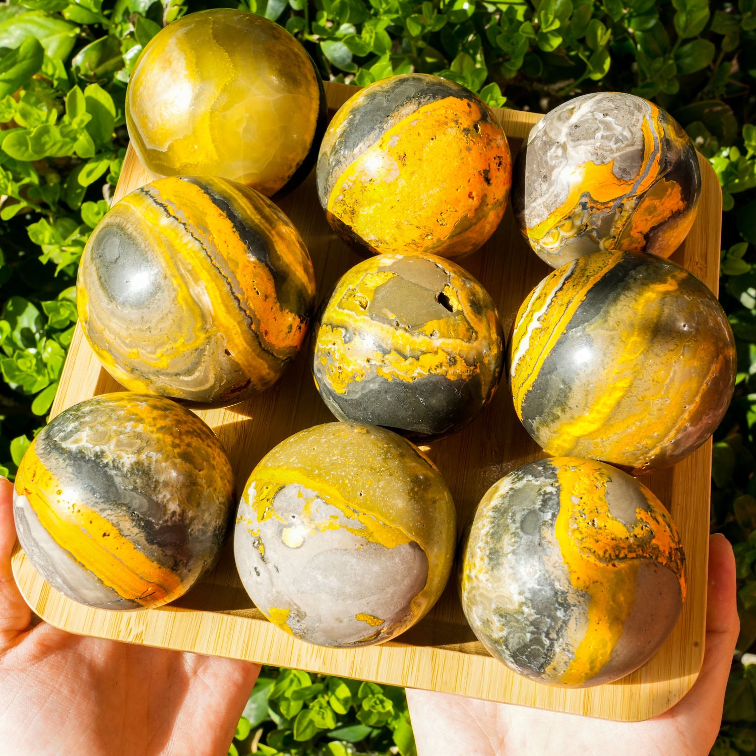 6-8cm bumble bee jasper sphere 1kg