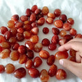 2-3CM carnelian tumbled stone Wholesale - Free Shipping Over 300USD - Price at $ 13.00 /pc
