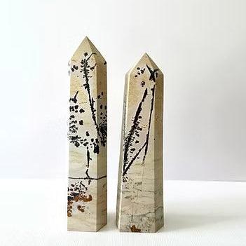 5-9cm Picture Jasper tower 1kg