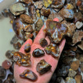 raw fire agate