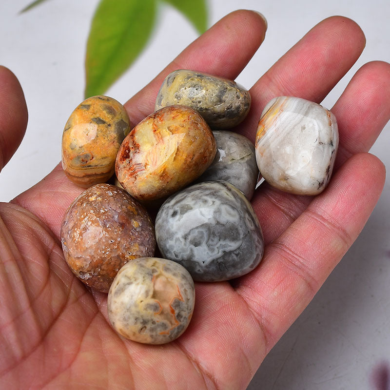 2-3cm crazy lace agate tumbles 1kg