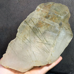 actinolite in quartz