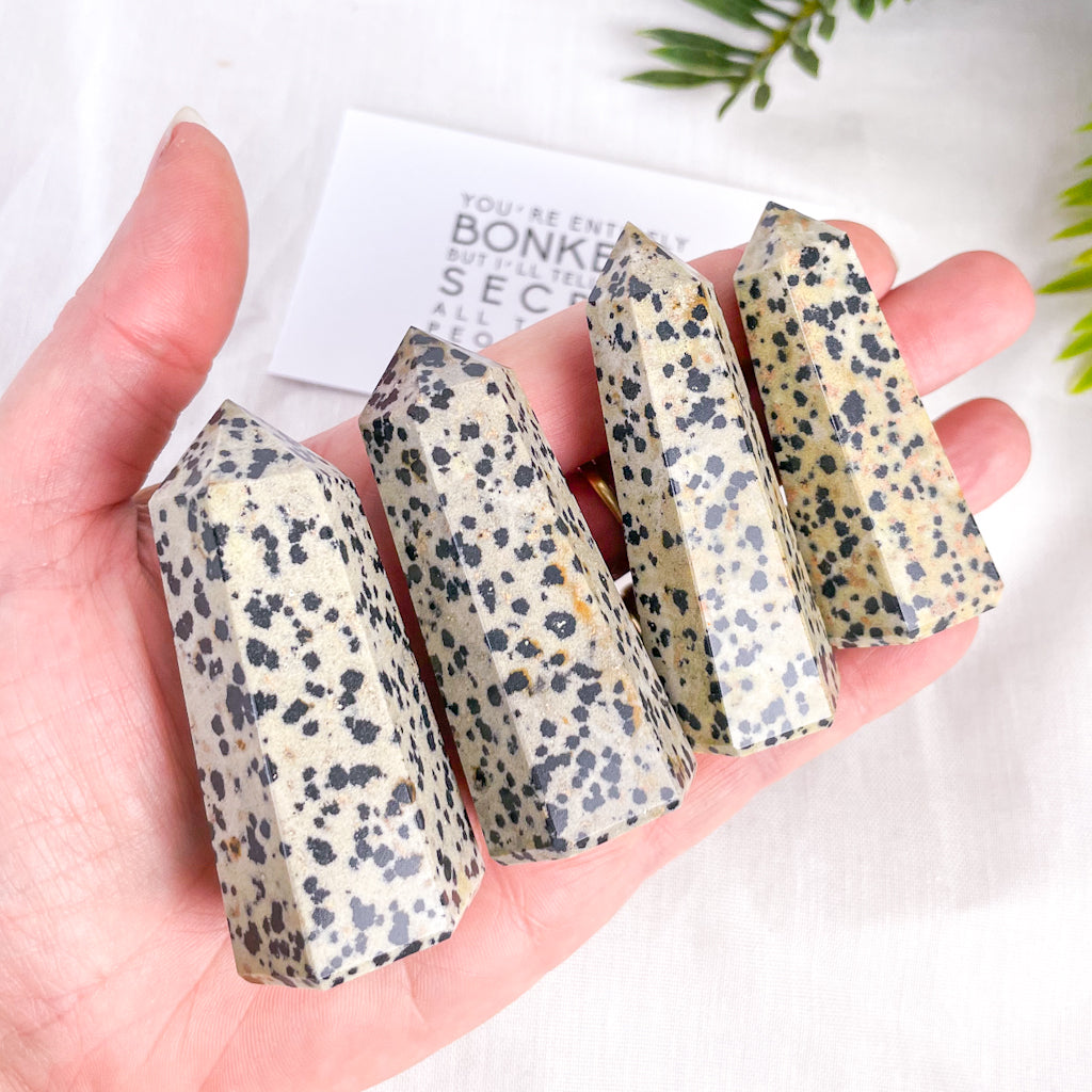 5-9cm dalmatian jasper tower 1kg